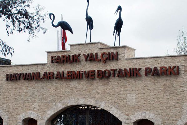 Ahşap Tabela Örnekleri