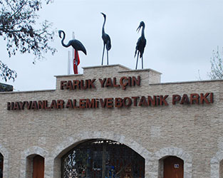 Örnek Çalışma 3